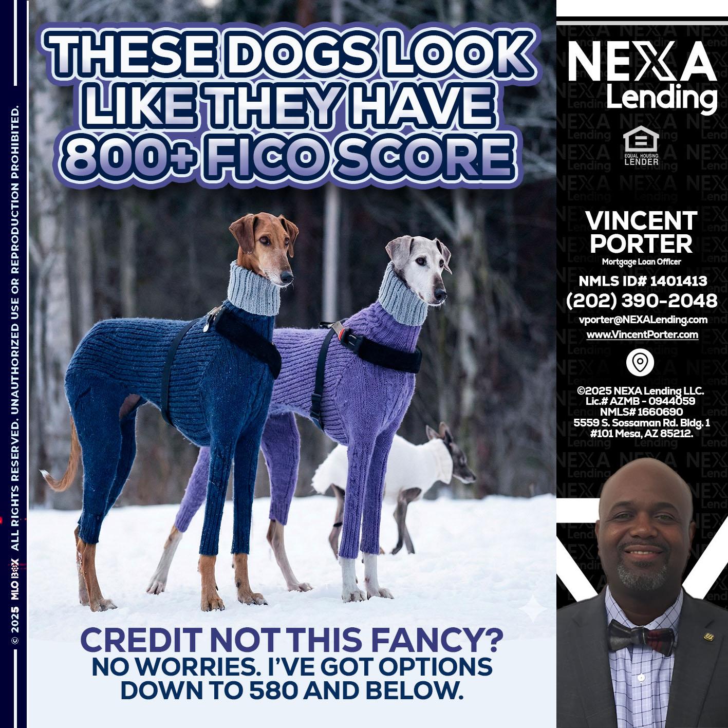 THESE DOGS LOOK - Vincent Porter -Mortgage Loan Officer